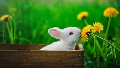 5000万！曼联给安东尼标价，贝蒂斯直呼：这价格，我太难了！